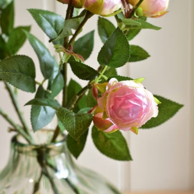 Rosebud Spray Pink