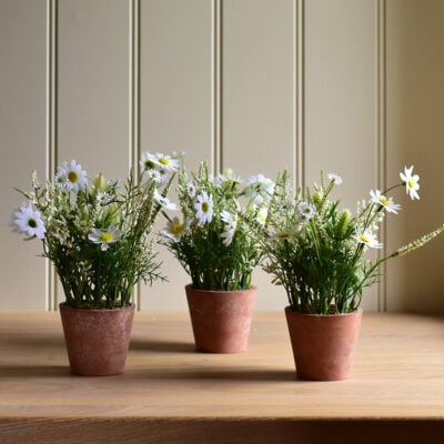 Wildflowers in Pot White