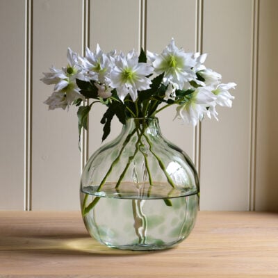 Hellebore Double White