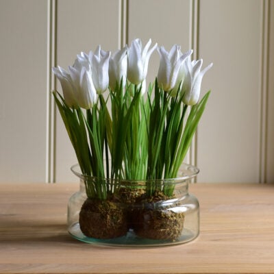 Dwarf Tulip on Moss Ball White