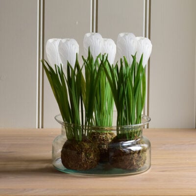 Crocus on Moss Ball White