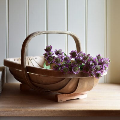 Astrantia Spray Soft Purple