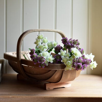 Astrantia Spray Soft Purple