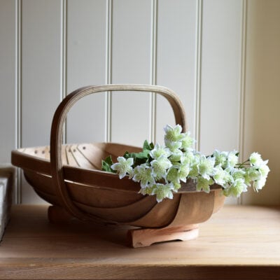 Astrantia Spray Apple White