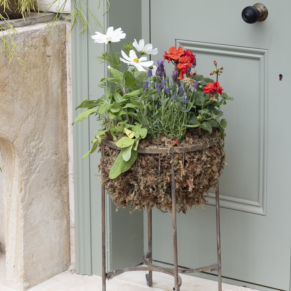 Raised Planter