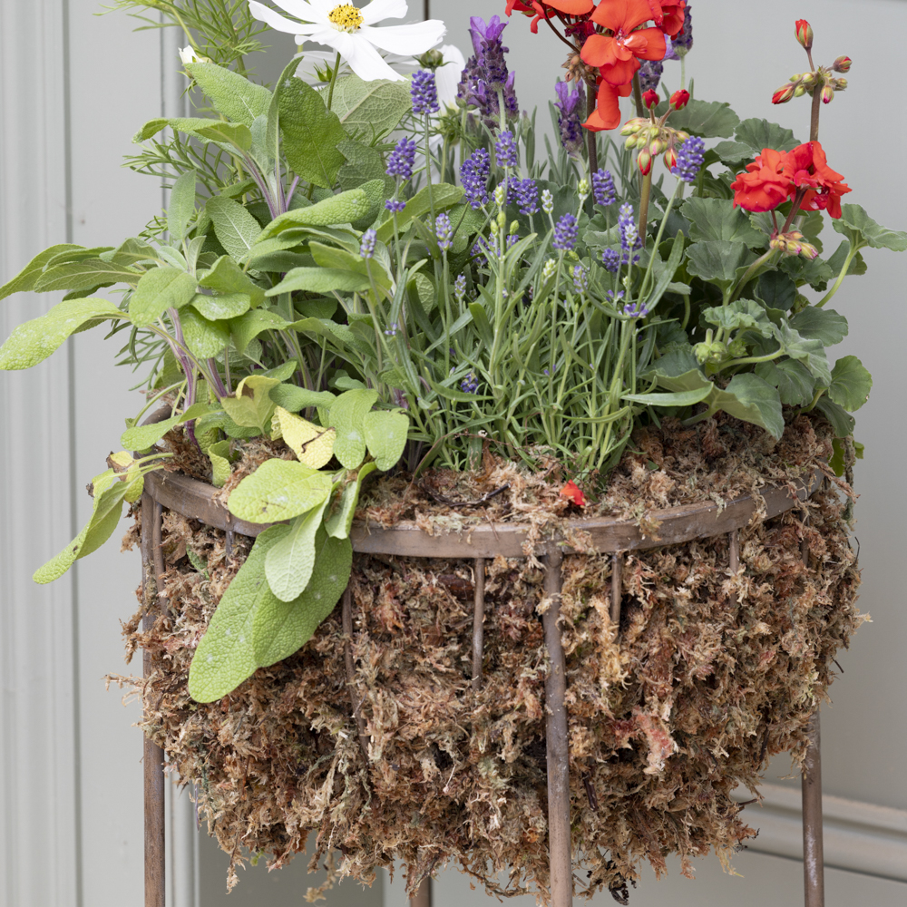 Raised Planter
