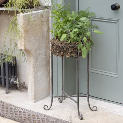 Raised Planter Shallow Short